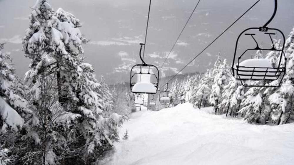 Snowdon Chalet Motel Image 17