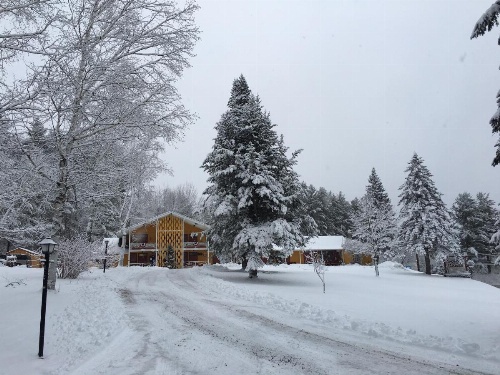 Snowdon Chalet Motel image 32
